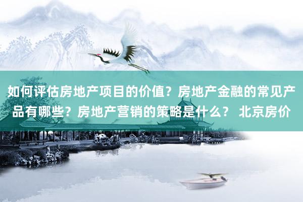 如何评估房地产项目的价值？房地产金融的常见产品有哪些？房地产营销的策略是什么？ 北京房价