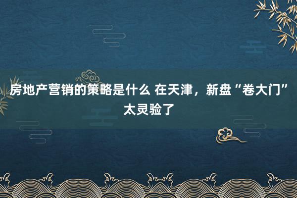 房地产营销的策略是什么 在天津，新盘“卷大门”太灵验了