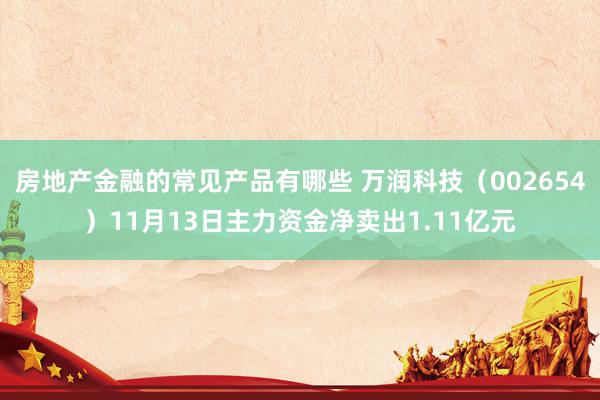 房地产金融的常见产品有哪些 万润科技（002654）11月13日主力资金净卖出1.11亿元