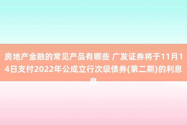 房地产金融的常见产品有哪些 广发证券将于11月14日支付2022年公成立行次级债券(第二期)的利息