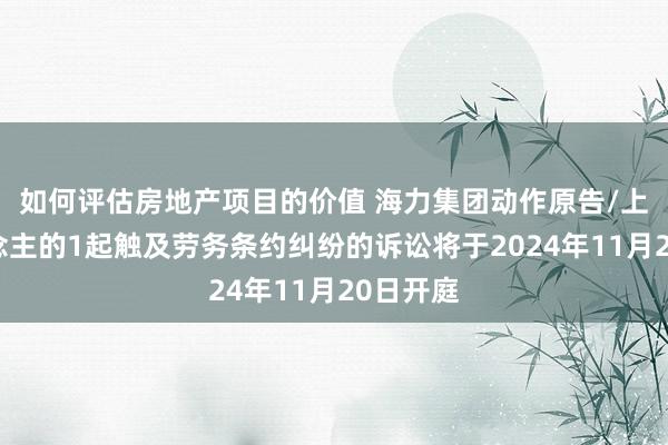 如何评估房地产项目的价值 海力集团动作原告/上诉东说念主的1起触及劳务条约纠纷的诉讼将于2024年11月20日开庭