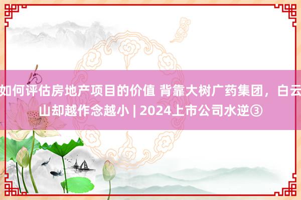 如何评估房地产项目的价值 背靠大树广药集团，白云山却越作念越小 | 2024上市公司水逆③