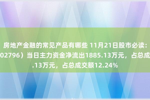 房地产金融的常见产品有哪些 11月21日股市必读：世嘉科技（002796）当日主力资金净流出1885.13万元，占总成交额12.24%