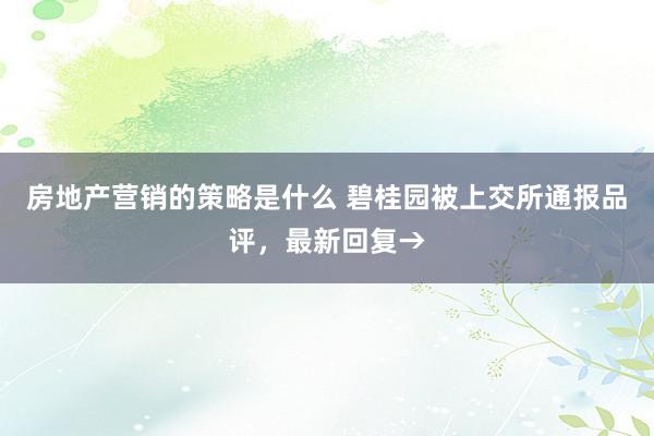 房地产营销的策略是什么 碧桂园被上交所通报品评，最新回复→