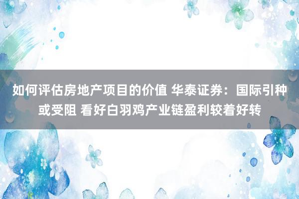 如何评估房地产项目的价值 华泰证券：国际引种或受阻 看好白羽鸡产业链盈利较着好转