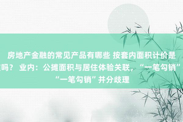 房地产金融的常见产品有哪些 按套内面积计价是取消公摊吗？ 业内：公摊面积与居住体验关联，“一笔勾销”并分歧理