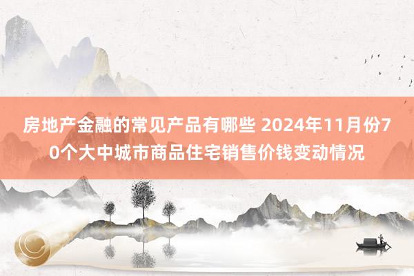 房地产金融的常见产品有哪些 2024年11月份70个大中城市商品住宅销售价钱变动情况