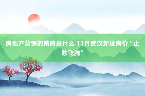 房地产营销的策略是什么 11月武汉新址房价“止跌飞腾”