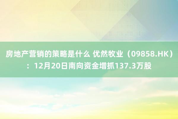 房地产营销的策略是什么 优然牧业（09858.HK）：12月20日南向资金增抓137.3万股