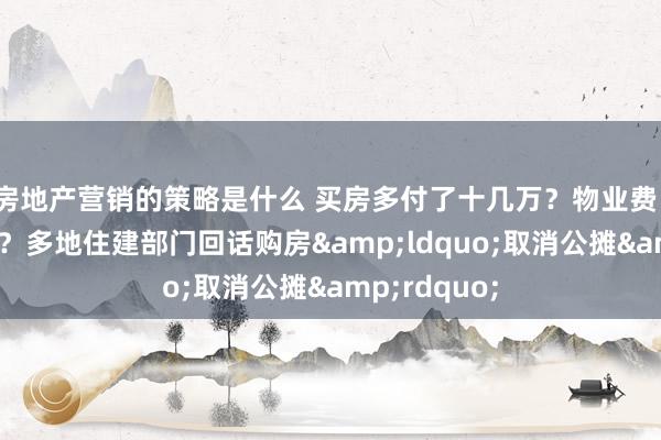 房地产营销的策略是什么 买房多付了十几万？物业费、税费如何收？多地住建部门回话购房&ldquo;取消公摊&rdquo;