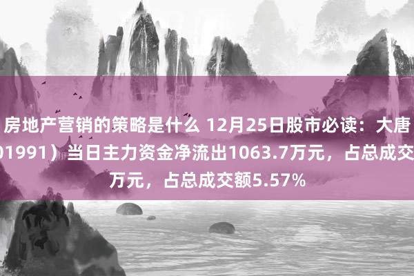 房地产营销的策略是什么 12月25日股市必读：大唐发电（601991）当日主力资金净流出1063.7万元，占总成交额5.57%