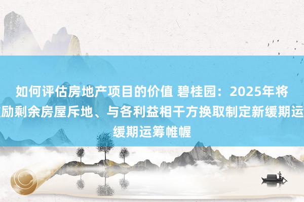 如何评估房地产项目的价值 碧桂园：2025年将捏续鼓励剩余房屋斥地、与各利益相干方换取制定新缓期运筹帷幄