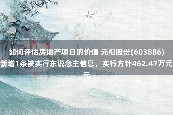 如何评估房地产项目的价值 元祖股份(603886)新增1条被实行东说念主信息，实行方针462.47万元