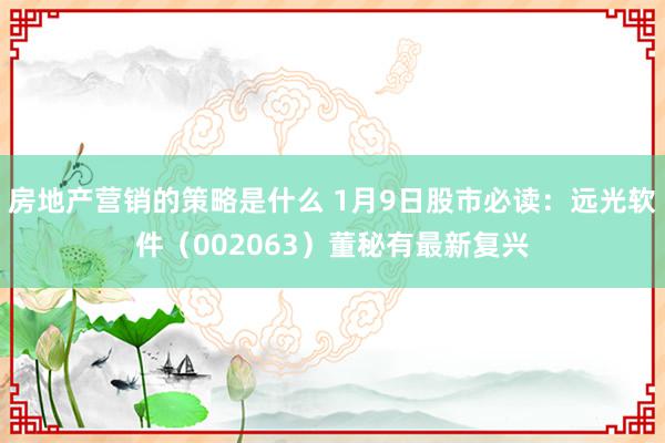 房地产营销的策略是什么 1月9日股市必读：远光软件（002063）董秘有最新复兴