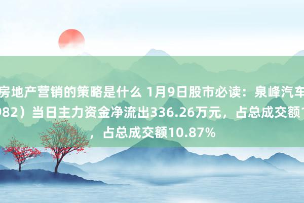 房地产营销的策略是什么 1月9日股市必读：泉峰汽车（603982）当日主力资金净流出336.26万元，占总成交额10.87%