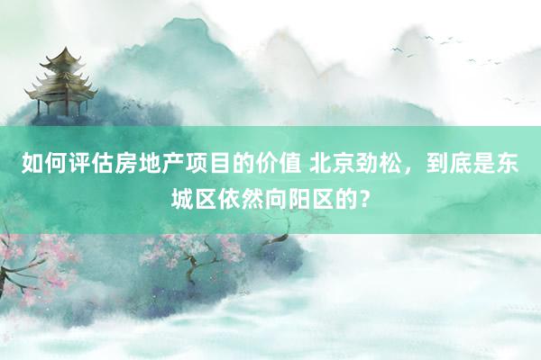 如何评估房地产项目的价值 北京劲松，到底是东城区依然向阳区的？