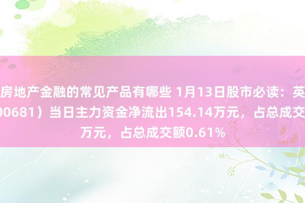 房地产金融的常见产品有哪些 1月13日股市必读：英搏尔（300681）当日主力资金净流出154.14万元，占总成交额0.61%