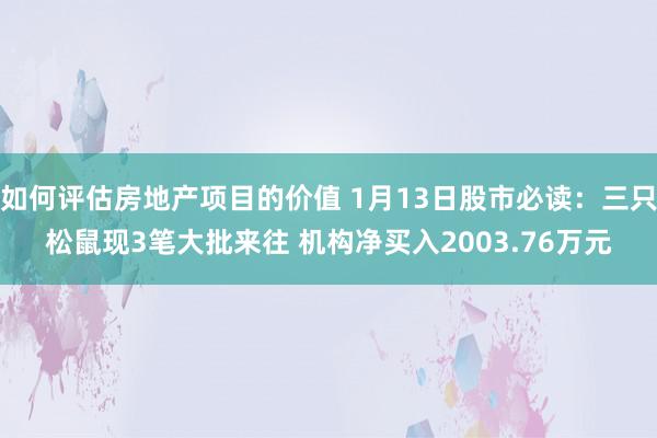 如何评估房地产项目的价值 1月13日股市必读：三只松鼠现3笔大批来往 机构净买入2003.76万元