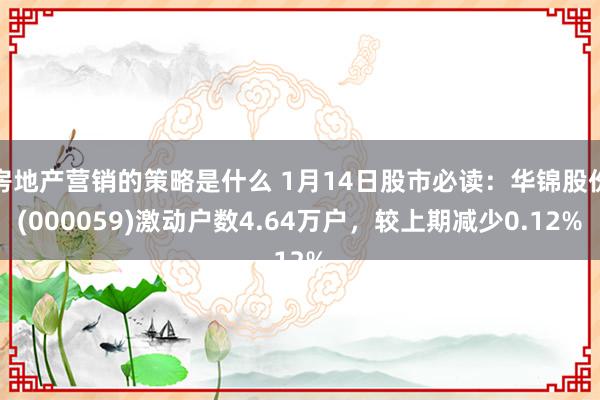 房地产营销的策略是什么 1月14日股市必读：华锦股份(000059)激动户数4.64万户，较上期减少0.12%