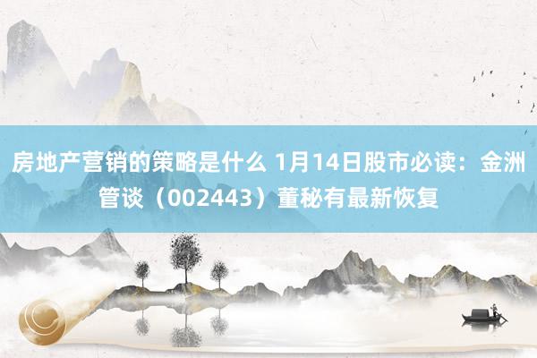 房地产营销的策略是什么 1月14日股市必读：金洲管谈（002443）董秘有最新恢复