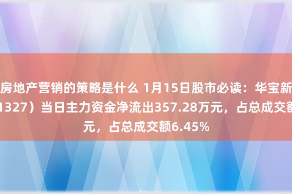 房地产营销的策略是什么 1月15日股市必读：华宝新能（301327）当日主力资金净流出357.28万元，占总成交额6.45%