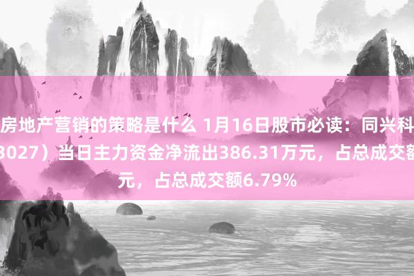 房地产营销的策略是什么 1月16日股市必读：同兴科技（003027）当日主力资金净流出386.31万元，占总成交额6.79%