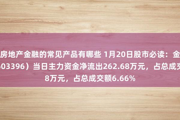 房地产金融的常见产品有哪些 1月20日股市必读：金辰股份（603396）当日主力资金净流出262.68万元，占总成交额6.66%