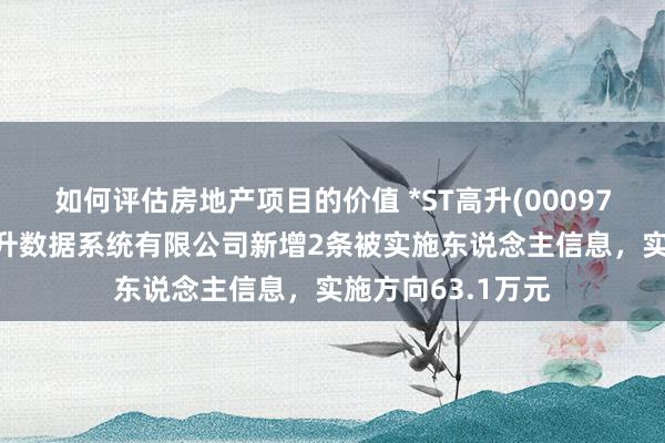 如何评估房地产项目的价值 *ST高升(000971)控股的北京高升数据系统有限公司新增2条被实施东说念主信息，实施方向63.1万元