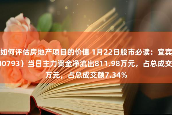 如何评估房地产项目的价值 1月22日股市必读：宜宾纸业（600793）当日主力资金净流出811.98万元，占总成交额7.34%