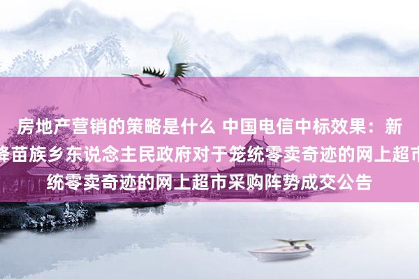 房地产营销的策略是什么 中国电信中标效果：新晃侗族自治县步头降苗族乡东说念主民政府对于笼统零卖奇迹的网上超市采购阵势成交公告