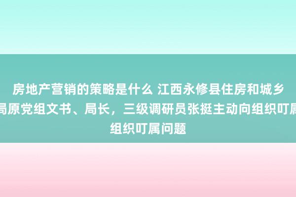 房地产营销的策略是什么 江西永修县住房和城乡成立局原党组文书、局长，三级调研员张挺主动向组织叮属问题