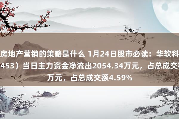 房地产营销的策略是什么 1月24日股市必读：华软科技（002453）当日主力资金净流出2054.34万元，占总成交额4.59%