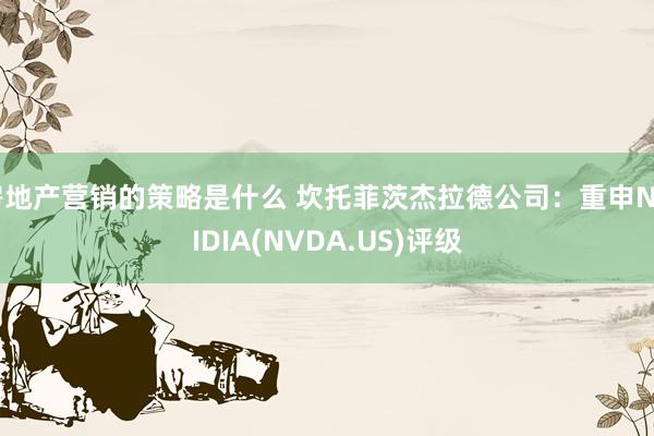 房地产营销的策略是什么 坎托菲茨杰拉德公司：重申NVIDIA(NVDA.US)评级