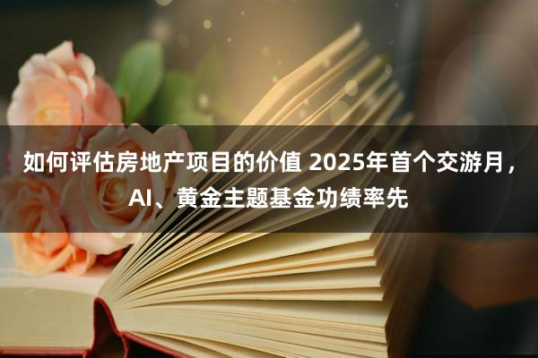 如何评估房地产项目的价值 2025年首个交游月，AI、黄金主题基金功绩率先