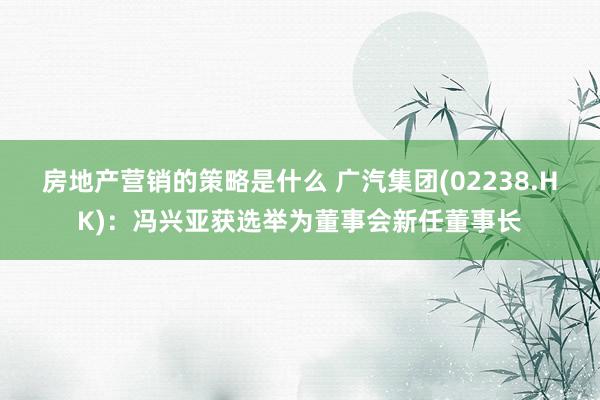 房地产营销的策略是什么 广汽集团(02238.HK)：冯兴亚获选举为董事会新任董事长