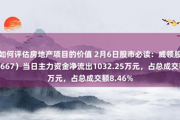 如何评估房地产项目的价值 2月6日股市必读：威领股份（002667）当日主力资金净流出1032.25万元，占总成交额8.46%