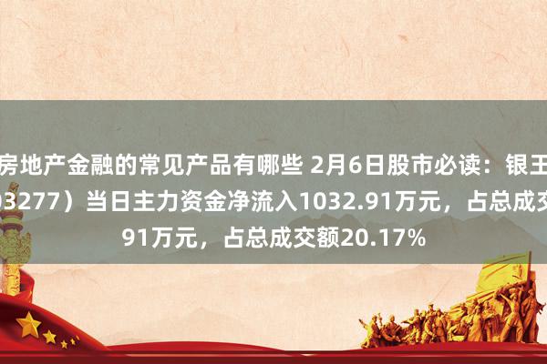 房地产金融的常见产品有哪些 2月6日股市必读：银王人股份（603277）当日主力资金净流入1032.91万元，占总成交额20.17%