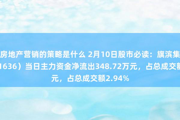 房地产营销的策略是什么 2月10日股市必读：旗滨集团（601636）当日主力资金净流出348.72万元，占总成交额2.94%