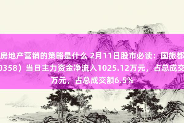 房地产营销的策略是什么 2月11日股市必读：国旅都集（600358）当日主力资金净流入1025.12万元，占总成交额6.5%