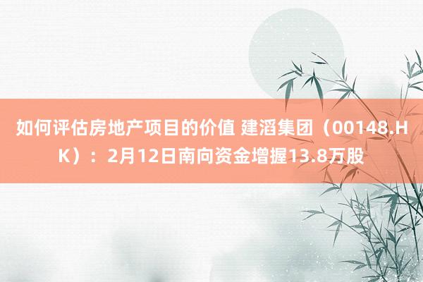 如何评估房地产项目的价值 建滔集团（00148.HK）：2月12日南向资金增握13.8万股