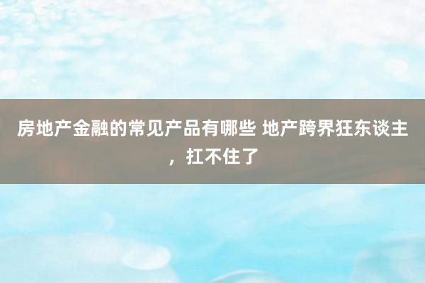 房地产金融的常见产品有哪些 地产跨界狂东谈主，扛不住了