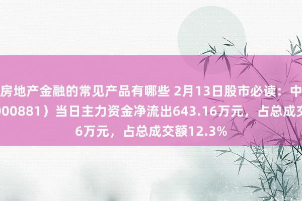 房地产金融的常见产品有哪些 2月13日股市必读：中广核技（000881）当日主力资金净流出643.16万元，占总成交额12.3%