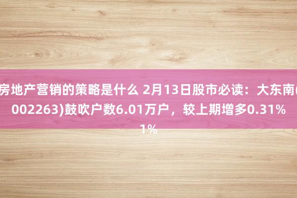 房地产营销的策略是什么 2月13日股市必读：大东南(002263)鼓吹户数6.01万户，较上期增多0.31%