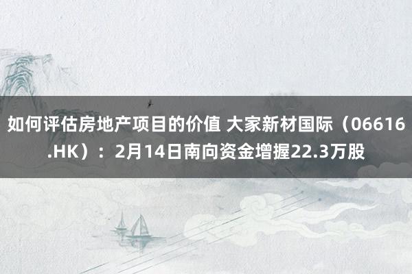 如何评估房地产项目的价值 大家新材国际（06616.HK）：2月14日南向资金增握22.3万股