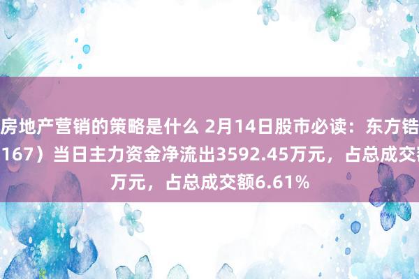 房地产营销的策略是什么 2月14日股市必读：东方锆业（002167）当日主力资金净流出3592.45万元，占总成交额6.61%