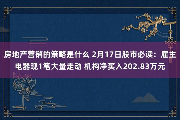 房地产营销的策略是什么 2月17日股市必读：雇主电器现1笔大量走动 机构净买入202.83万元