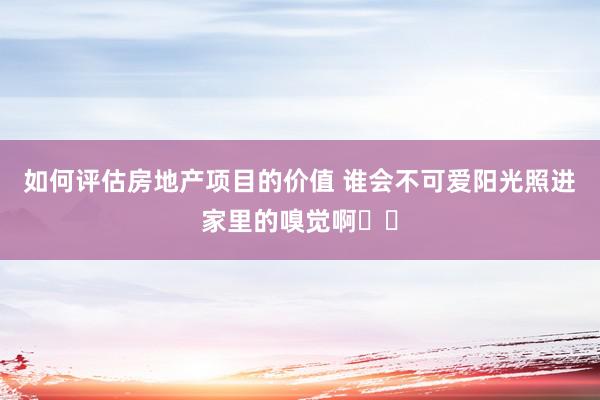 如何评估房地产项目的价值 谁会不可爱阳光照进家里的嗅觉啊☀️