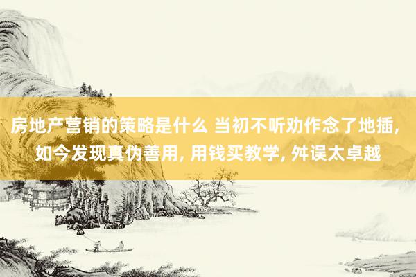 房地产营销的策略是什么 当初不听劝作念了地插, 如今发现真伪善用, 用钱买教学, 舛误太卓越