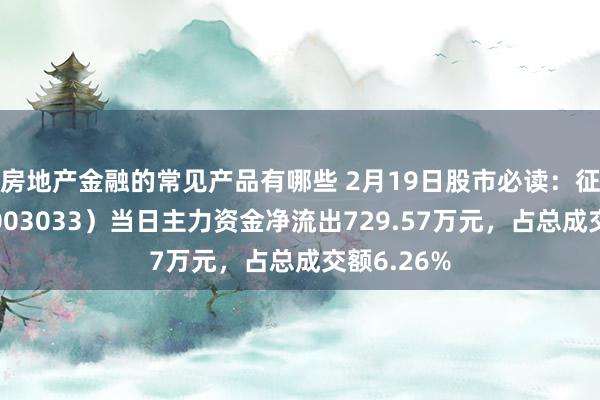 房地产金融的常见产品有哪些 2月19日股市必读：征和工业（003033）当日主力资金净流出729.57万元，占总成交额6.26%