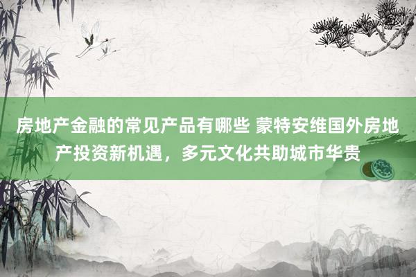 房地产金融的常见产品有哪些 蒙特安维国外房地产投资新机遇，多元文化共助城市华贵